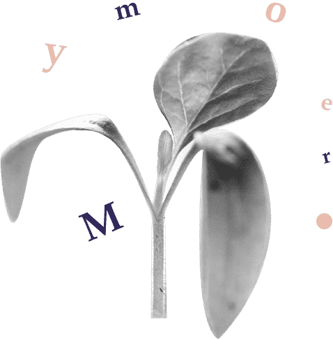 Memory Techniques Long-term Retention Speakly Platform Effective Learning Cognitive Strategies